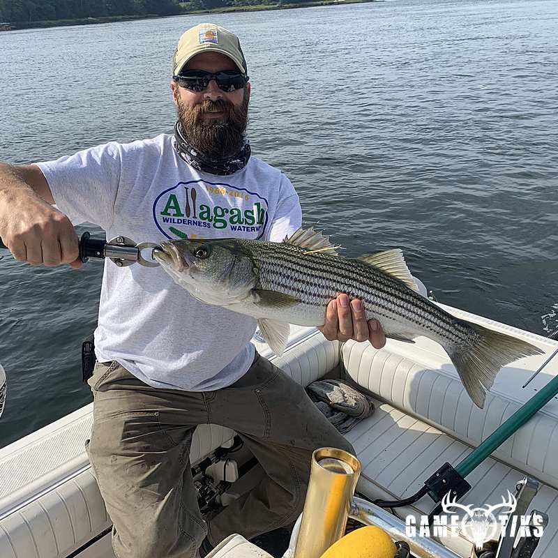 fish harvest by Maine Experience Guide Service