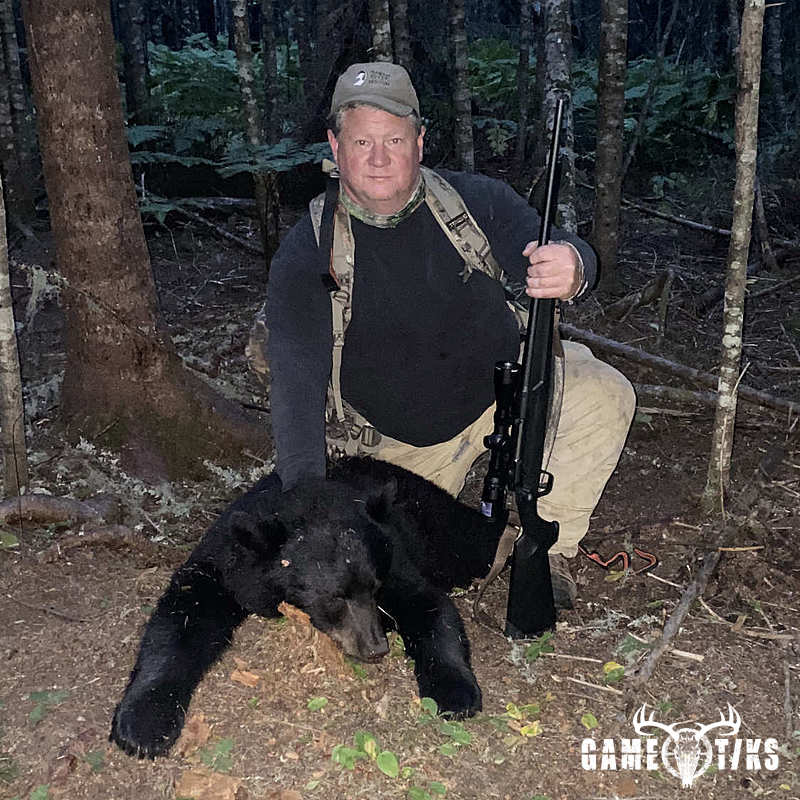 bear harvest by John Gibbs