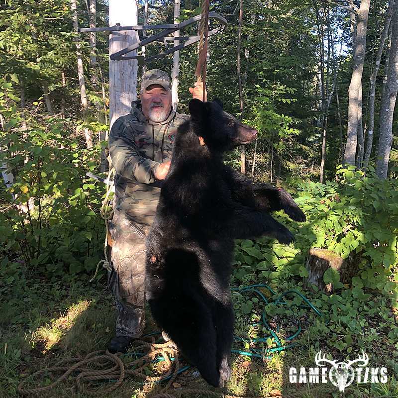 bear harvest by Jarad