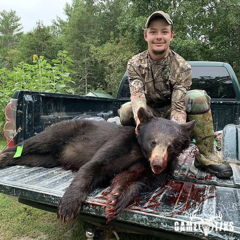 bear harvest by Darren Harriman