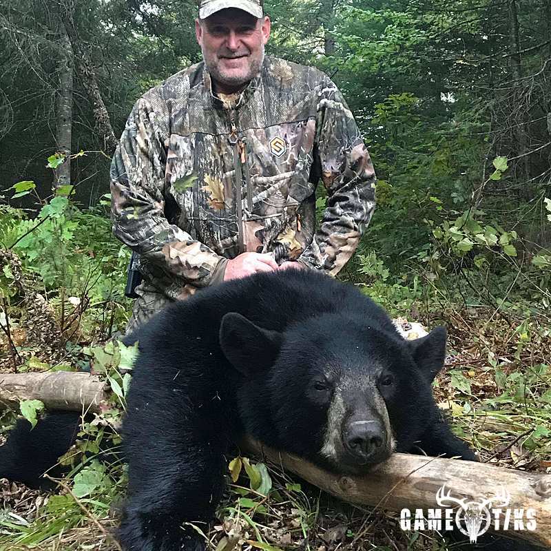 bear harvest by Chris Schiessl