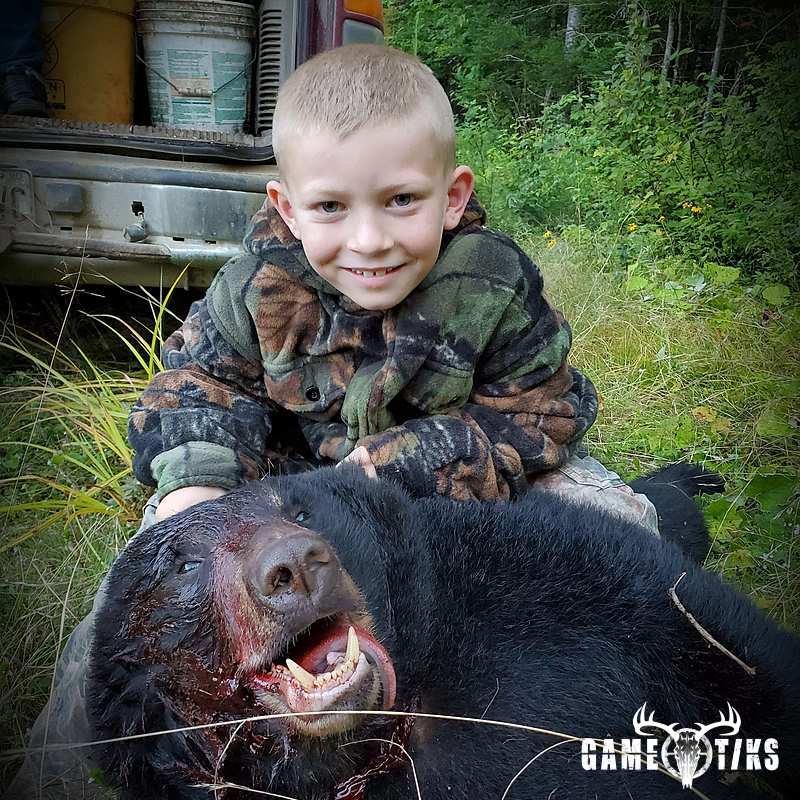 bear harvest by Alex larrabee