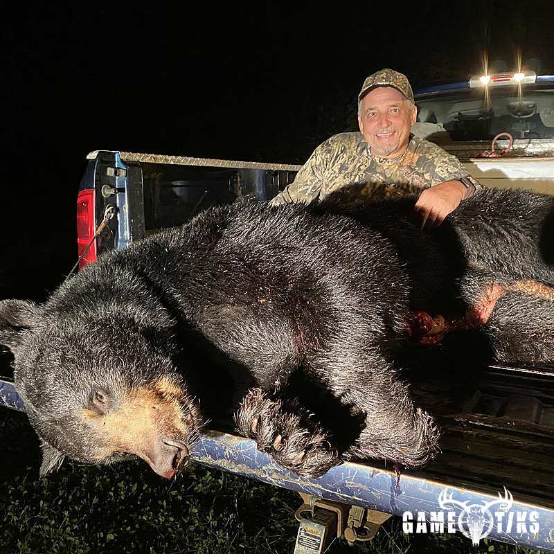 bear harvest by Charlie Beller