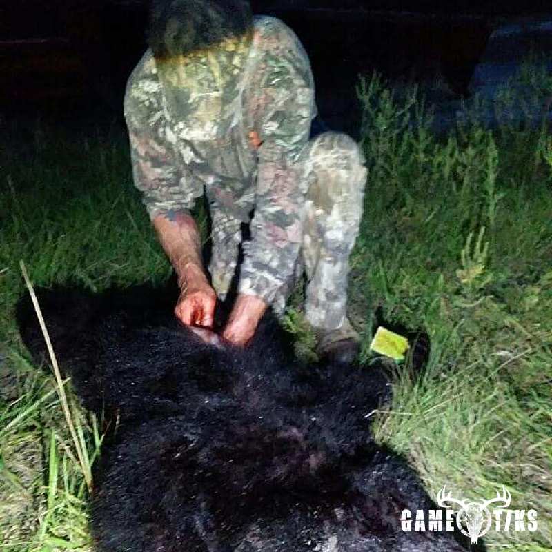 bear harvest by Operation ReBoot Outdoors