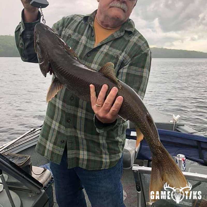 fish harvest by Operation ReBoot Outdoors