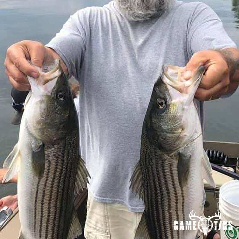 fish harvest by Operation ReBoot Outdoors