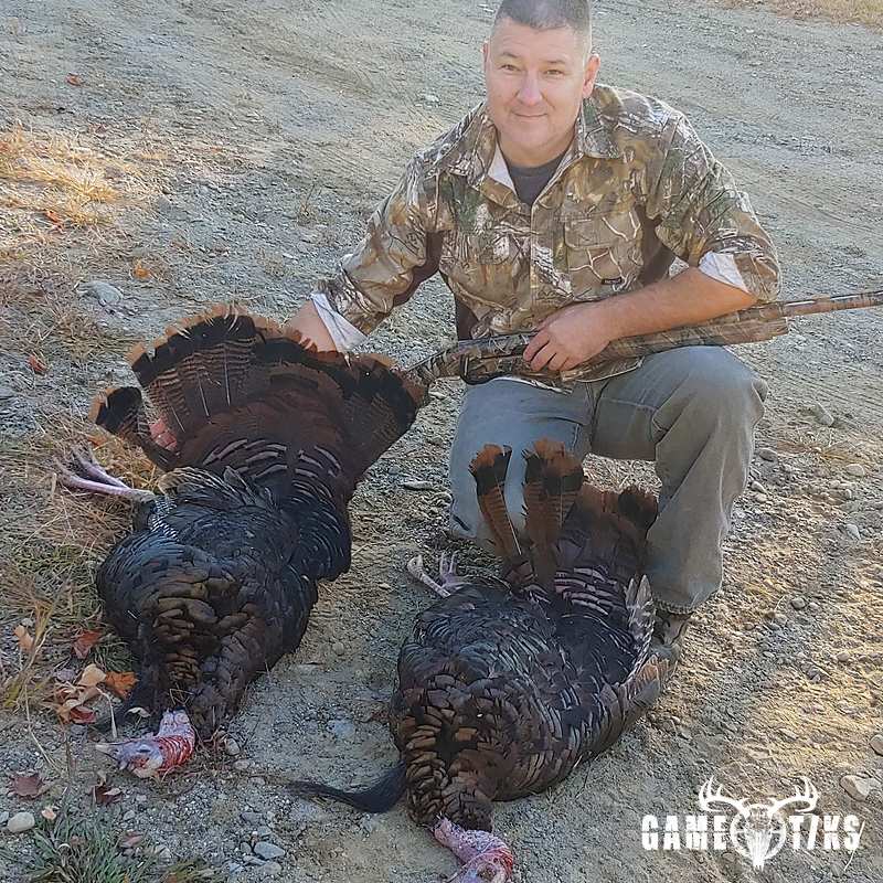 turkey harvest by Matthew Cook