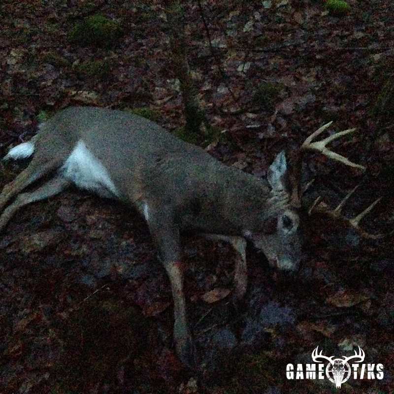 deer harvest by Dan Blanchette