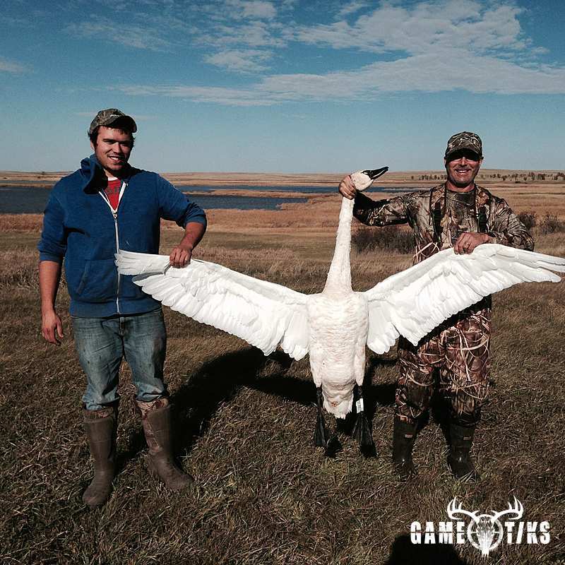 waterfowl harvest by Dan Blanchette