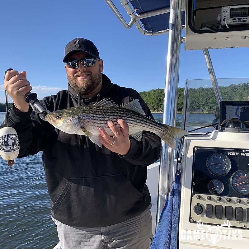 fish harvest by Maine Experience Guide Service