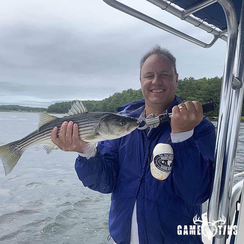 fish harvest by Maine Experience Guide Service