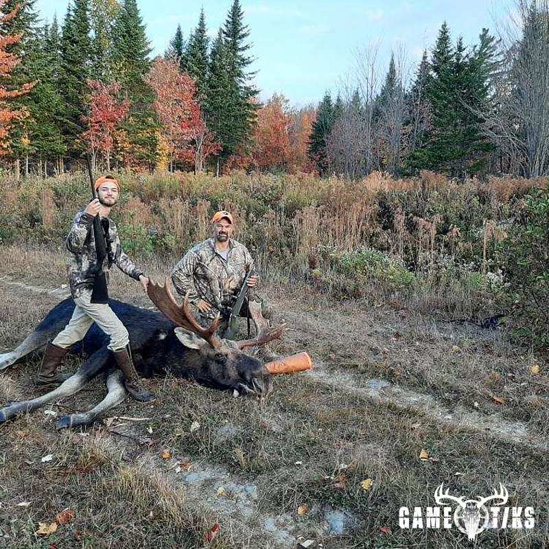moose harvest by Hunter Sloan Smith