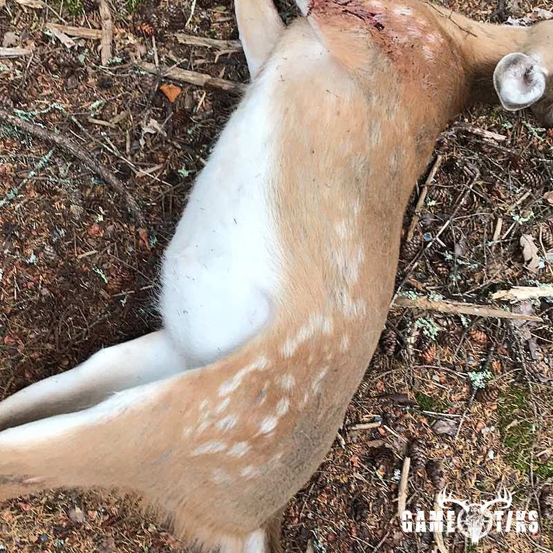 deer harvest by Craig Turner