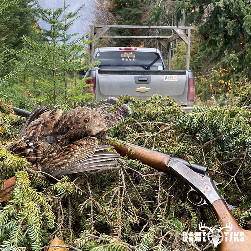 upland_bird harvest by John Gibbs