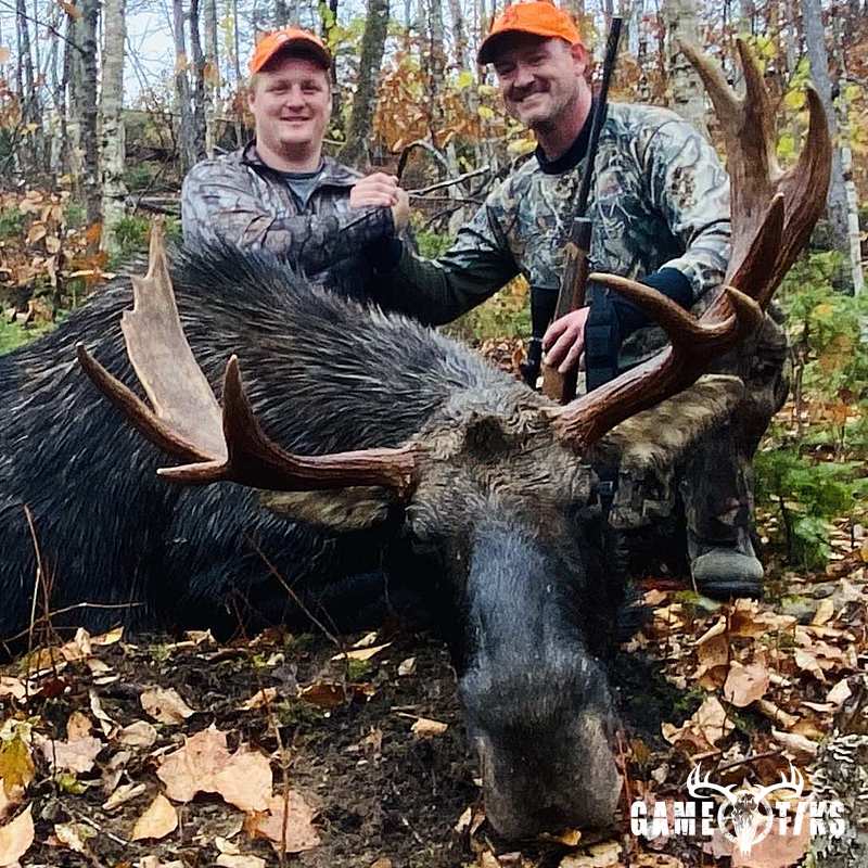 moose harvest by Marsh River Outfitters