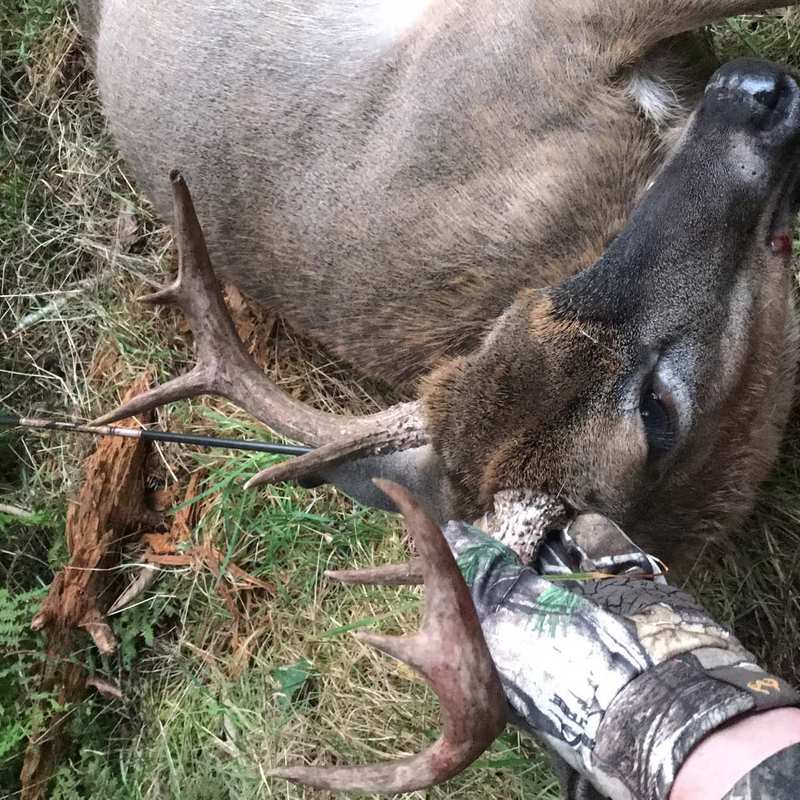 deer harvest by Ashton Reynolds