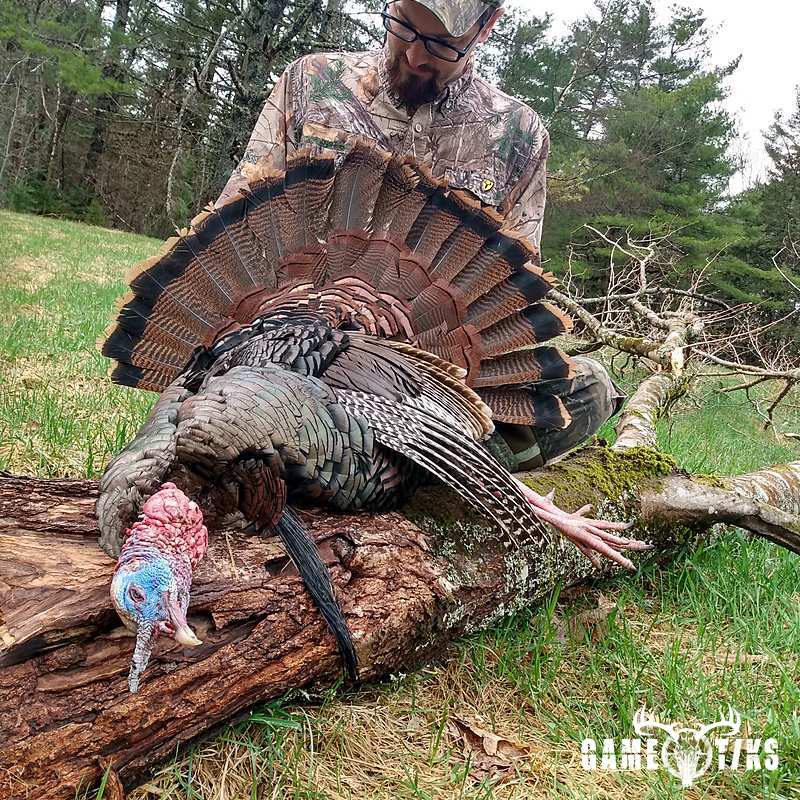 turkey harvest by Zach Harriman