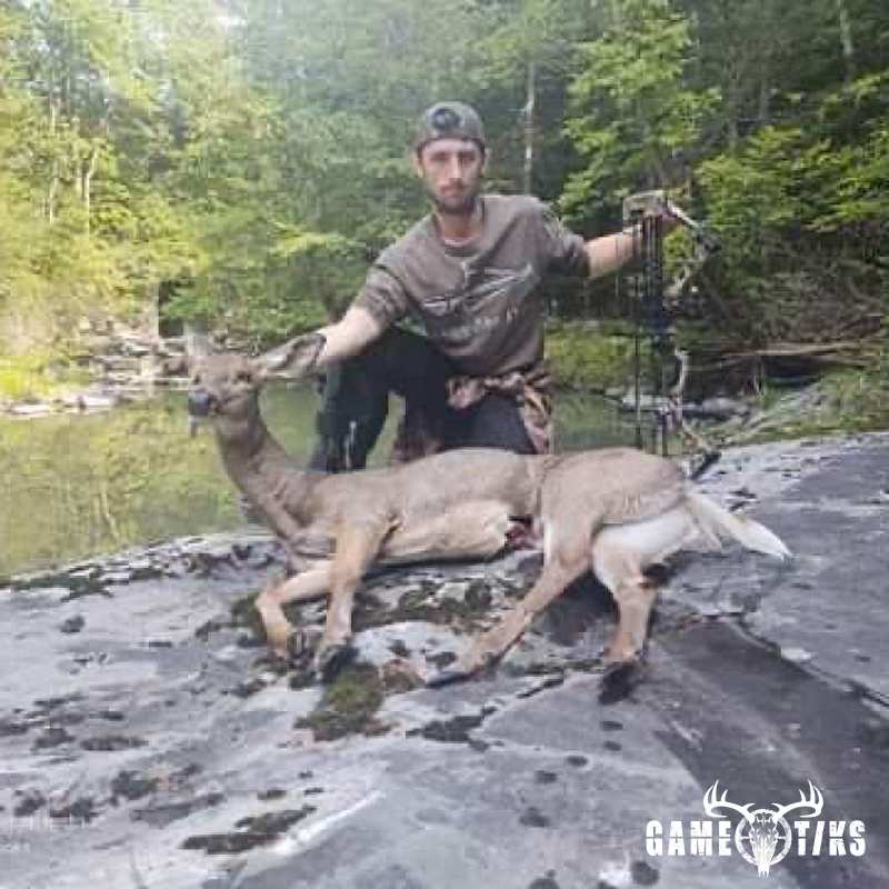 deer harvest by James Pace