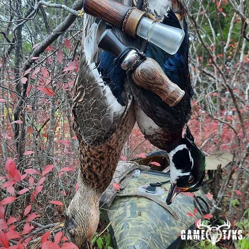 waterfowl harvest by Troy Fields, Traditions Guide Service