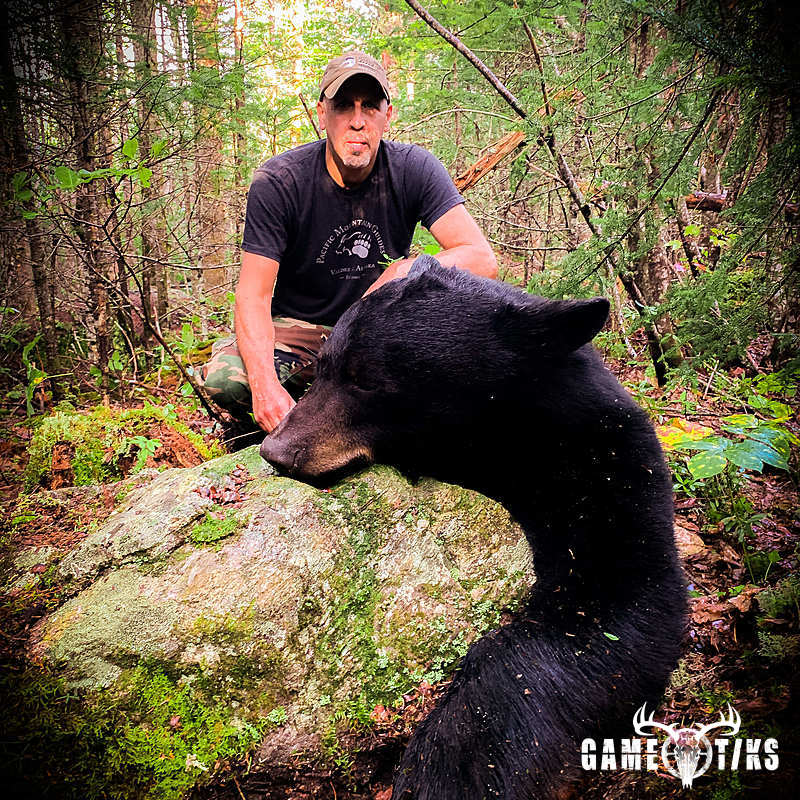 bear harvest by Robb Scott