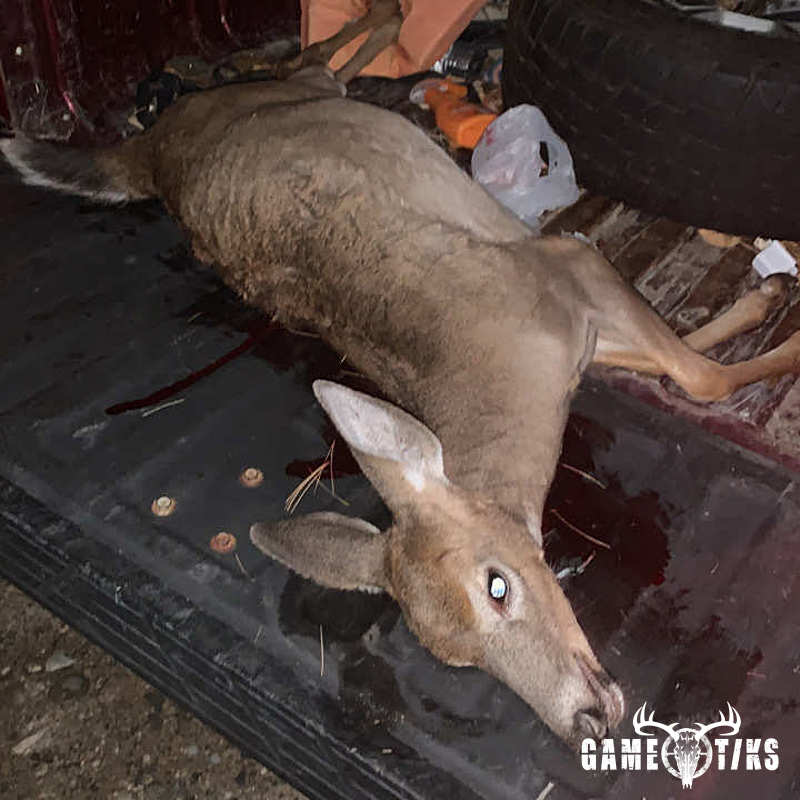 deer harvest by James Pace