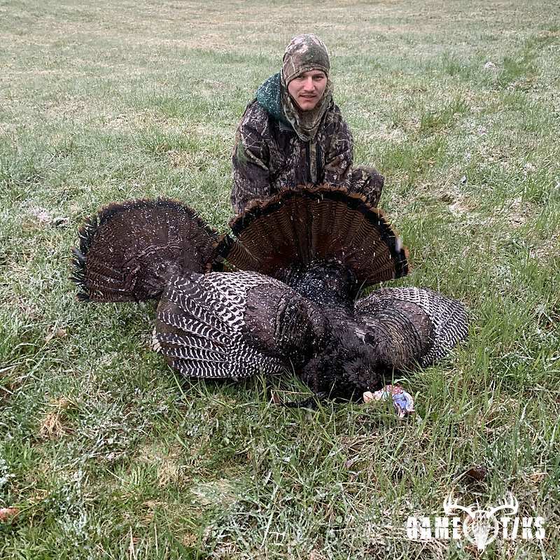 turkey harvest by James Pace