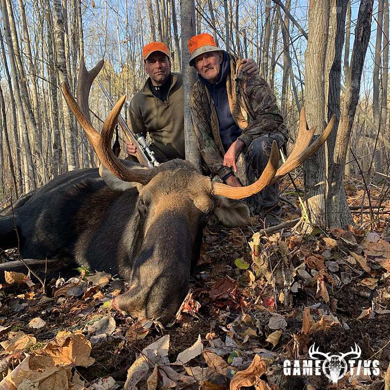 moose harvest by Maine Experience Guide Service