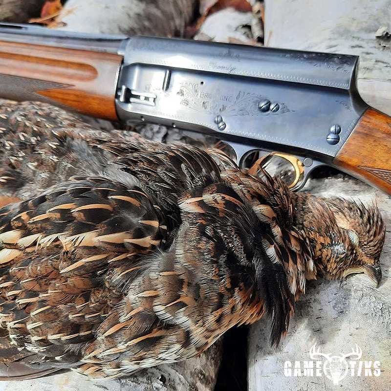 upland_bird harvest by Troy Fields, Traditions Guide Service