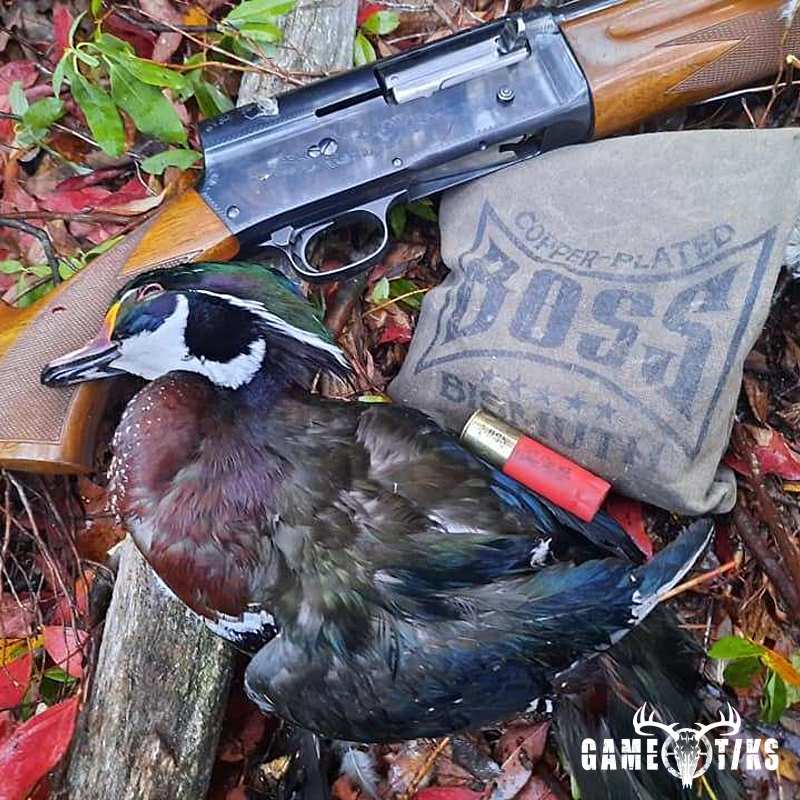 waterfowl harvest by Troy Fields, Traditions Guide Service