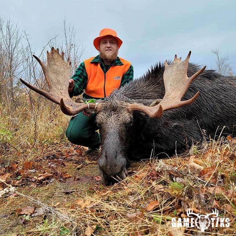moose harvest by Kyle