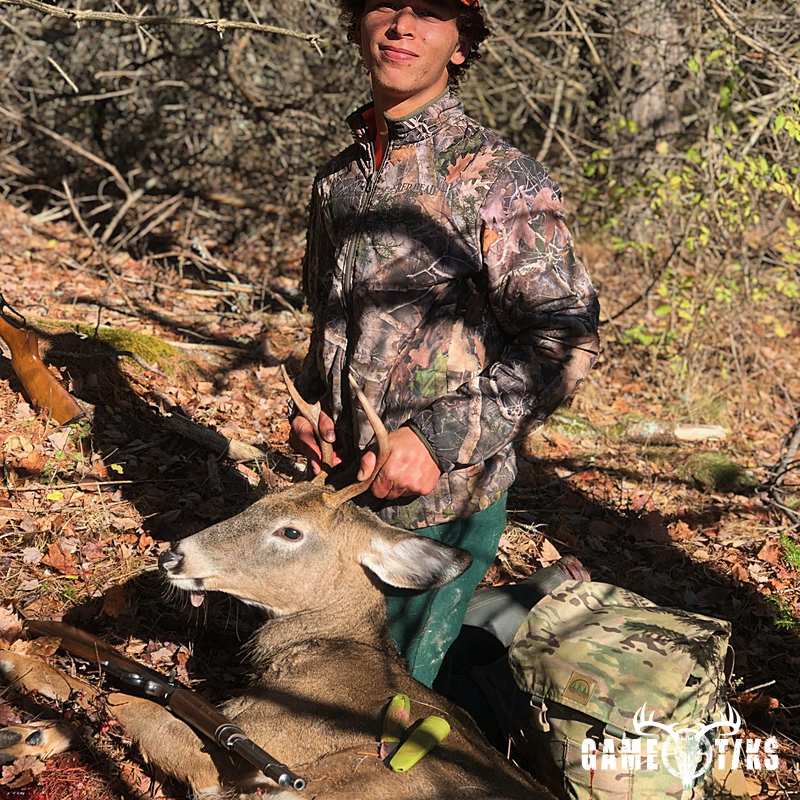 deer harvest by Christopher Taylor