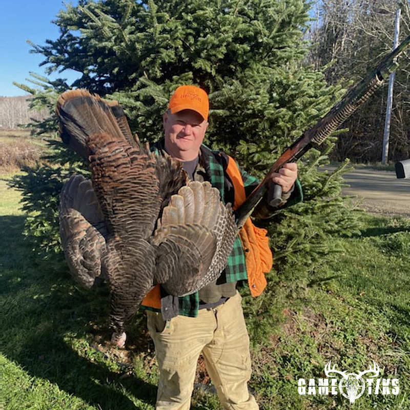 turkey harvest by John Gibbs