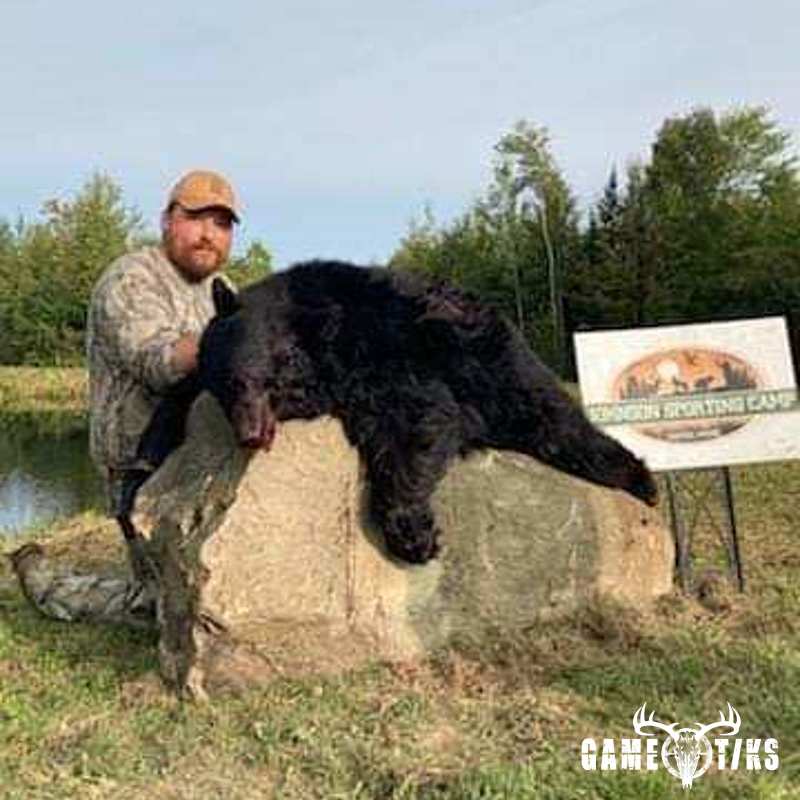 bear harvest by Brock A Leavitt