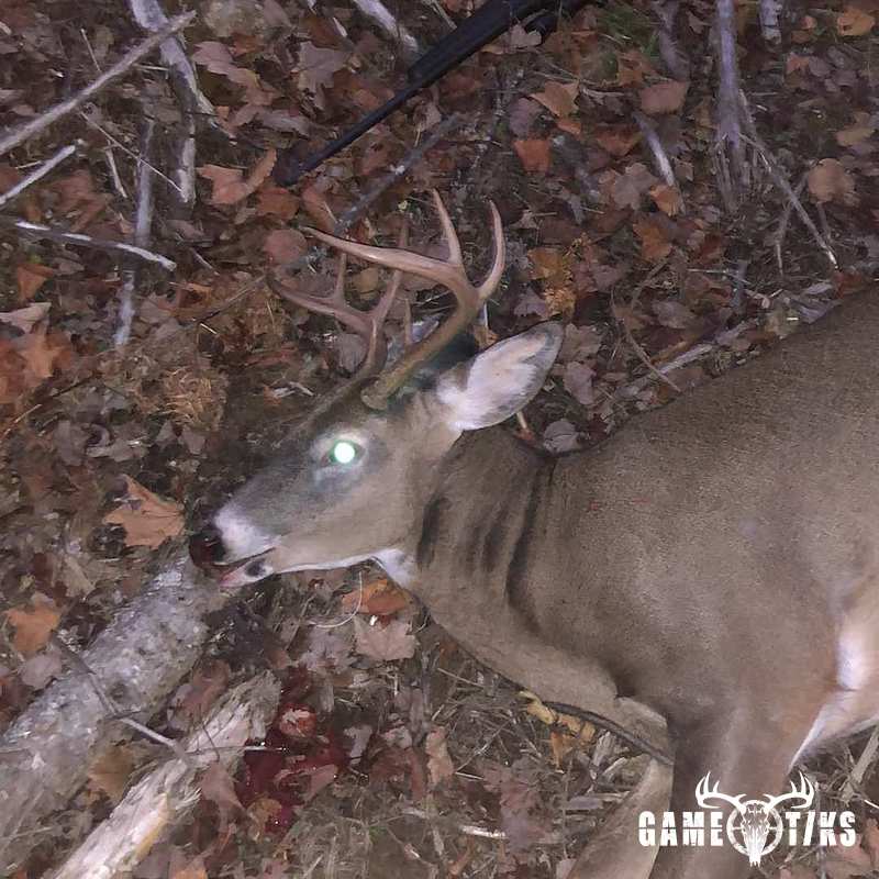 deer harvest by Jarad