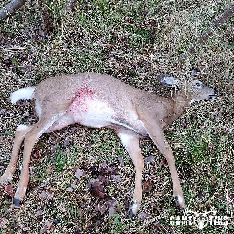 deer harvest by Operation ReBoot Outdoors
