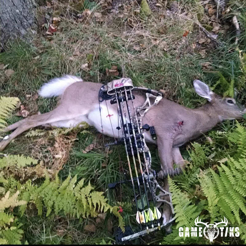 deer harvest by Brody Gibbs