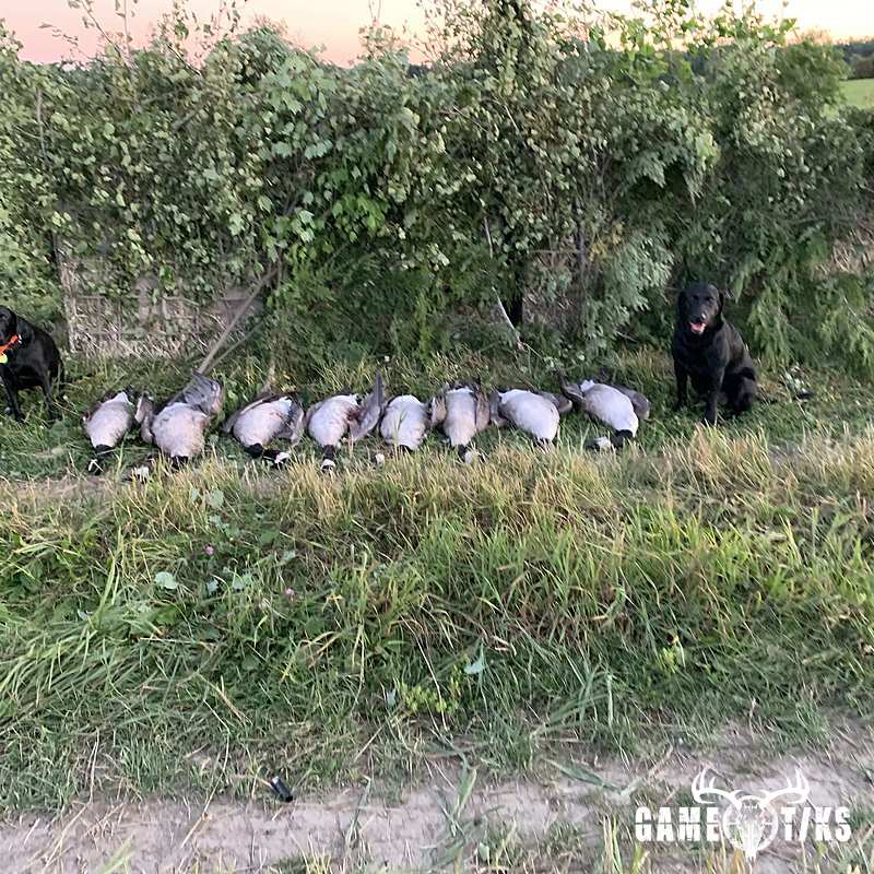 waterfowl harvest by Maine Experience Guide Service