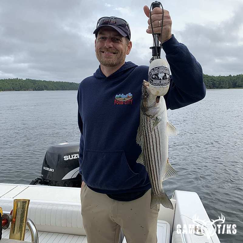 fish harvest by Maine Experience Guide Service