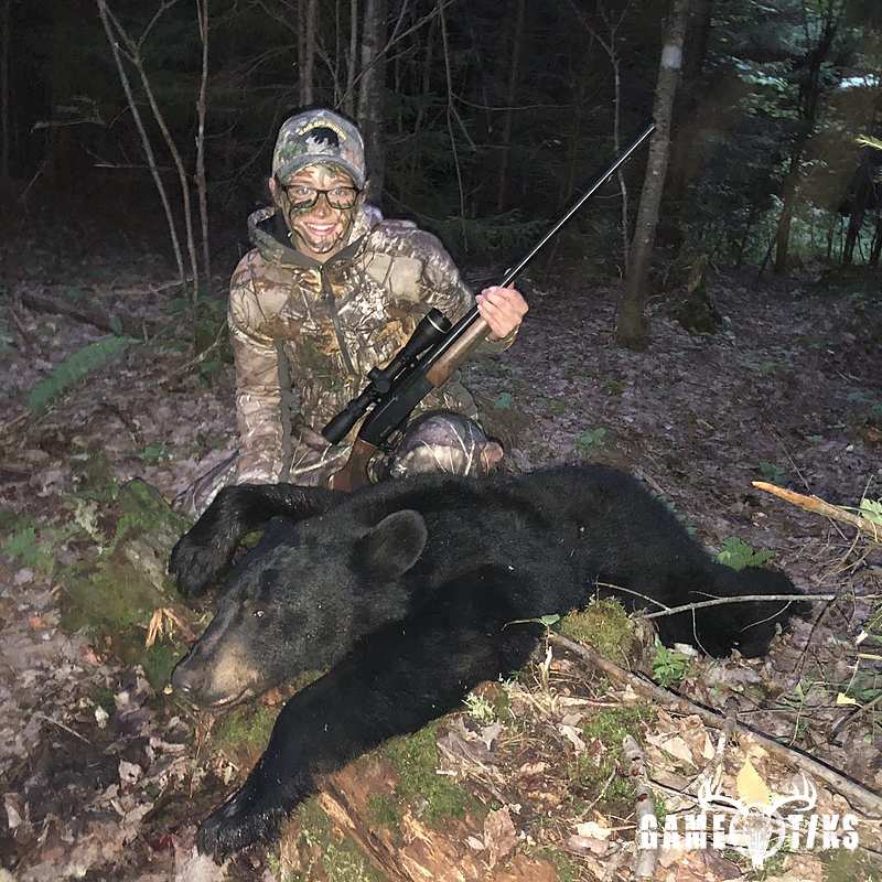 bear