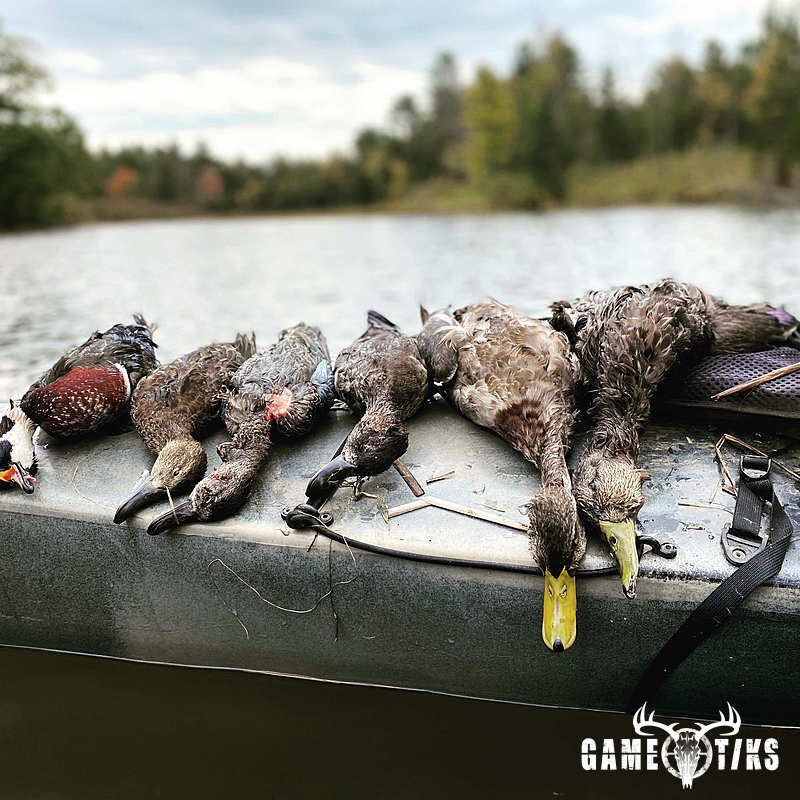 waterfowl harvest by Maine Experience Guide Service