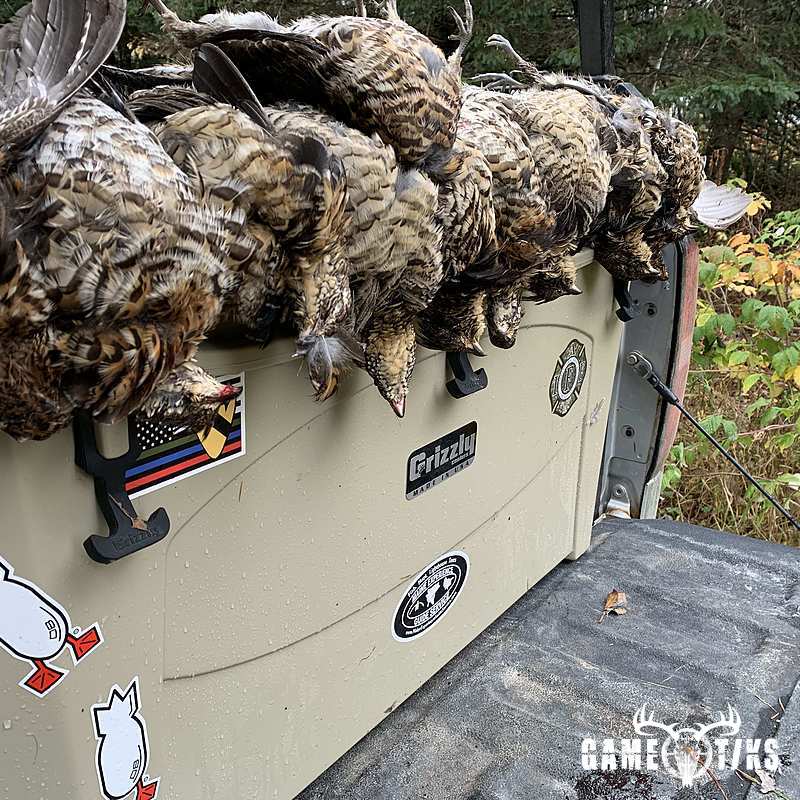 upland_bird harvest by Maine Experience Guide Service