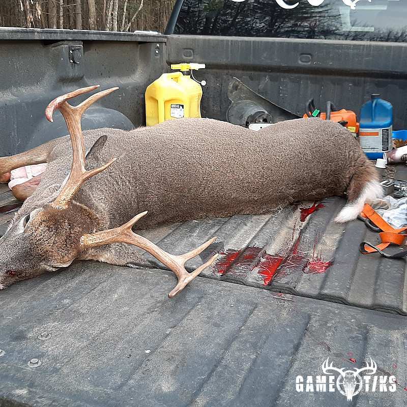 deer harvest by Steve Bowden