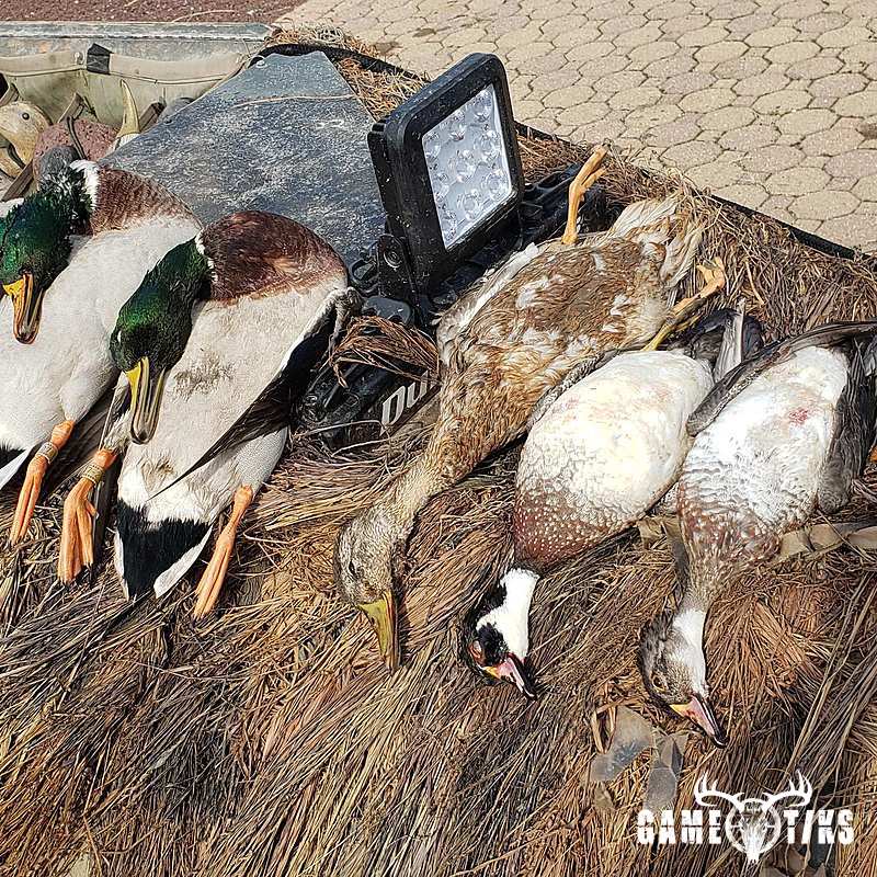 waterfowl harvest by The RiverRats Waterfowl Hunting