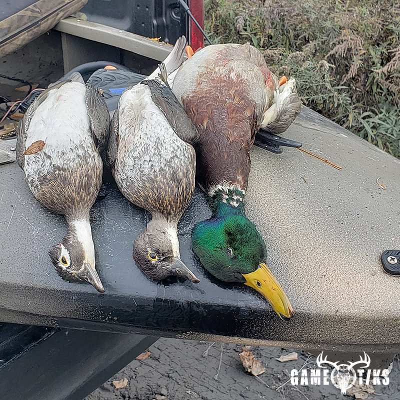 waterfowl harvest by The RiverRats Waterfowl Hunting