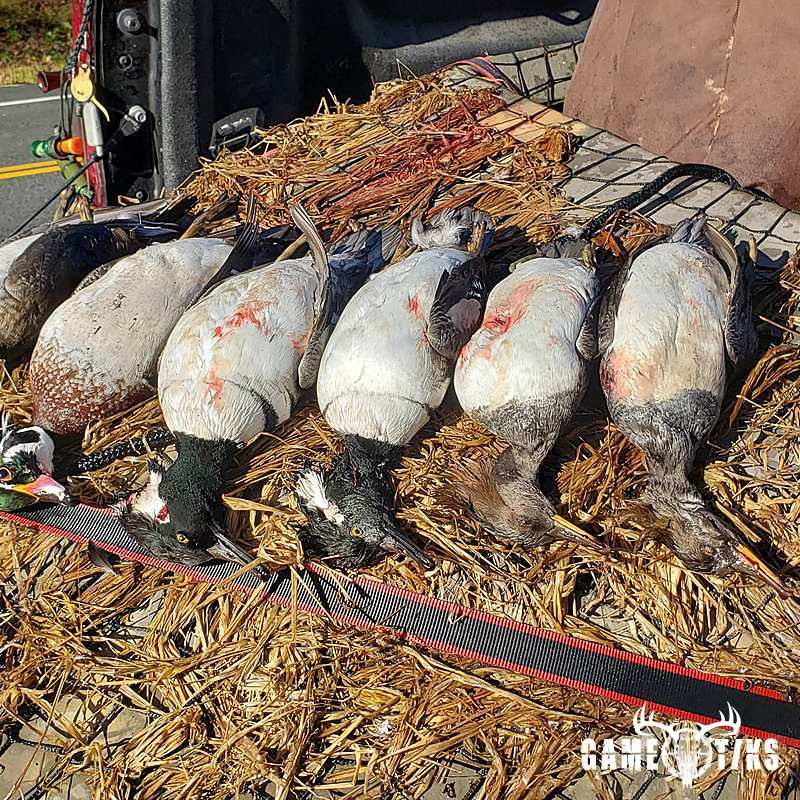 waterfowl harvest by The RiverRats Waterfowl Hunting