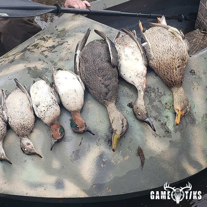 waterfowl harvest by The RiverRats Waterfowl Hunting