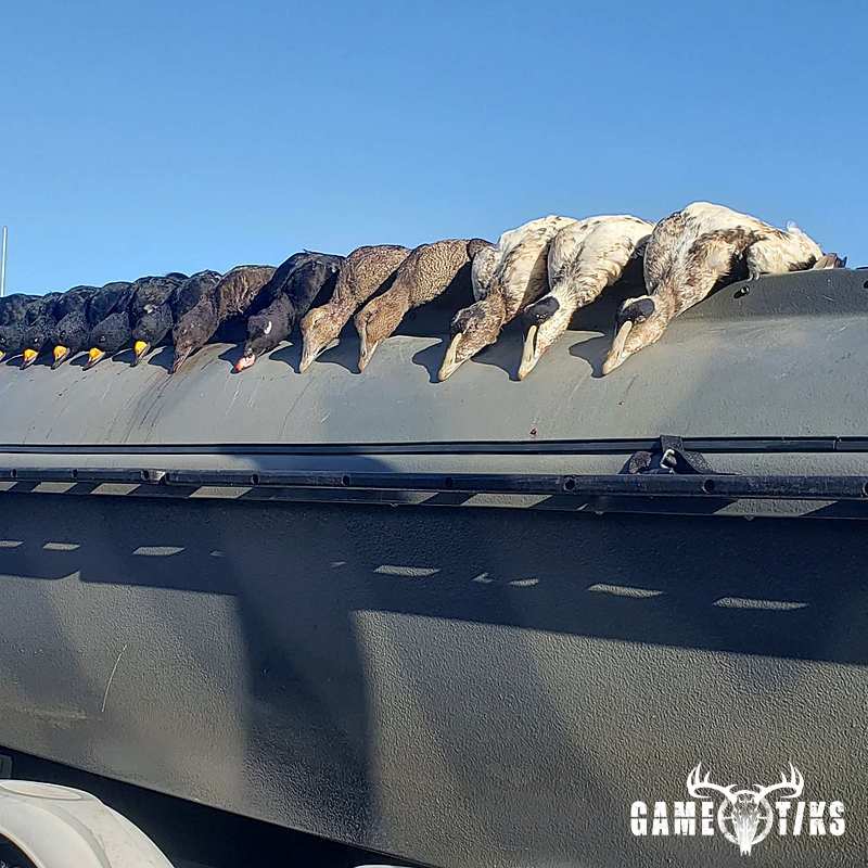 waterfowl harvest by The RiverRats Waterfowl Hunting