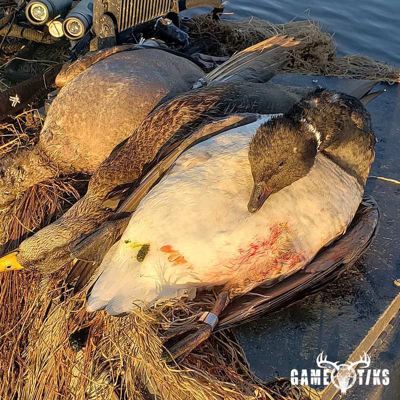 waterfowl harvest by The RiverRats Waterfowl Hunting