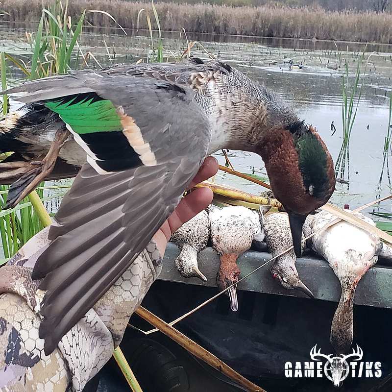 waterfowl harvest by The RiverRats Waterfowl Hunting