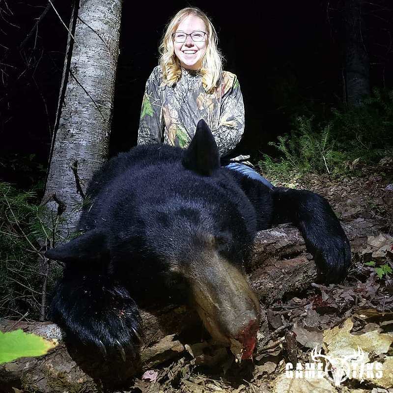 bear harvest by Emily Reynolds